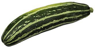 Zucchini