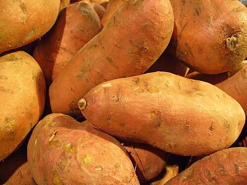 Sweet Potato