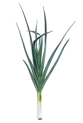 Leeks
